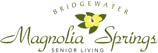 Magnolia Springs Bridgewater's avatar